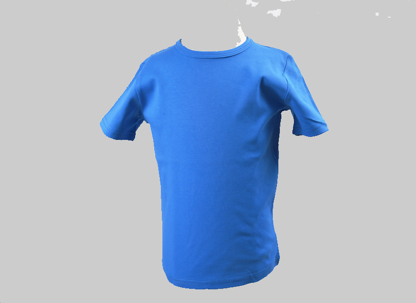 Virginia Blue Color Boy T Shirt