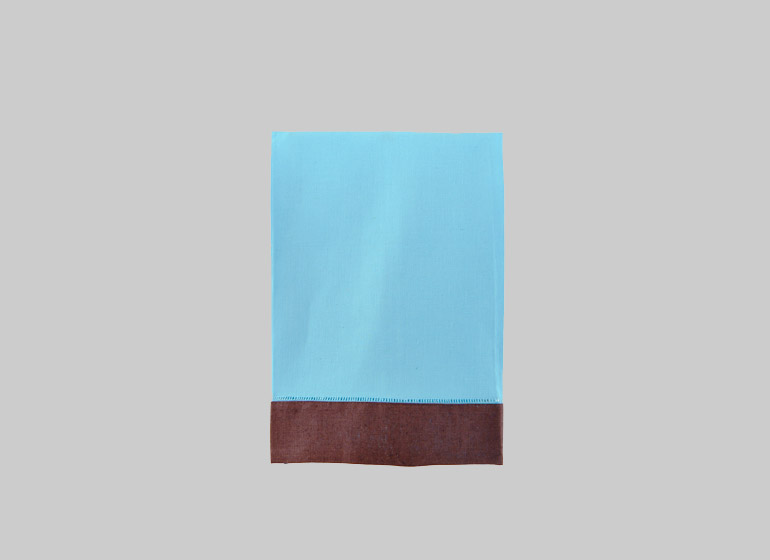 Aqua Blue with Brown Border, Guest Towel