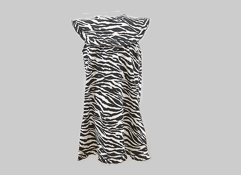 Black Zebra Girl Toddler Sleeveless Dress